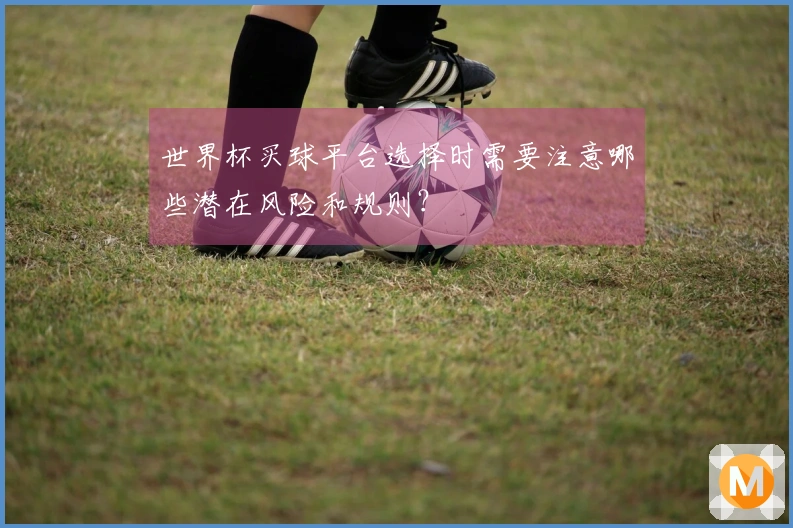 世界杯买球平台选择时需要注意哪些潜在风险和规则？