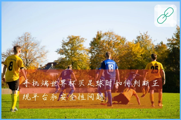 手机端世界杯买足球时如何判断正规平台和安全性问题