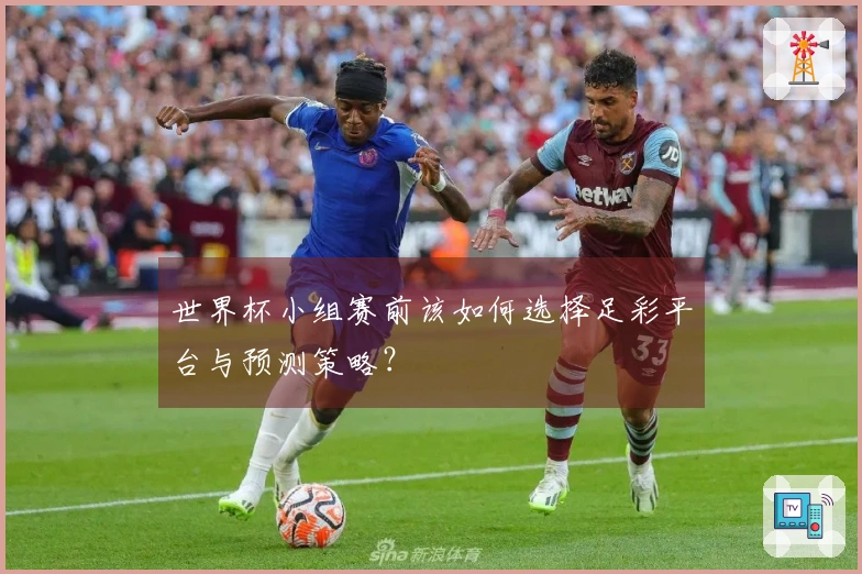 世界杯小组赛前该如何选择足彩平台与预测策略？