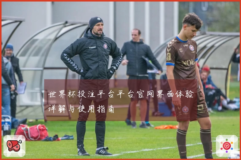世界杯投注平台平台官网界面体验详解与使用指南