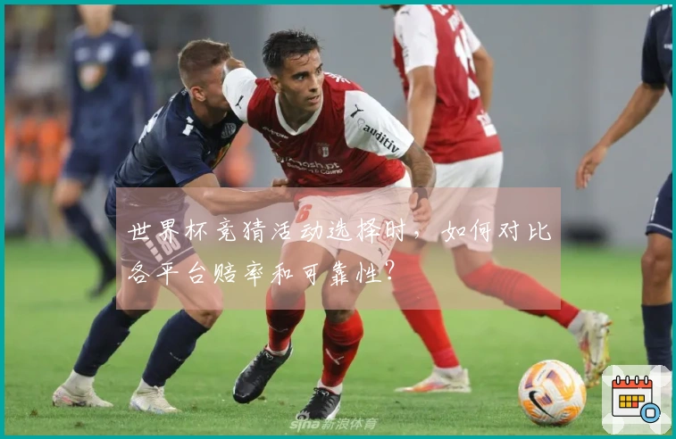 世界杯竞猜活动选择时，如何对比各平台赔率和可靠性？