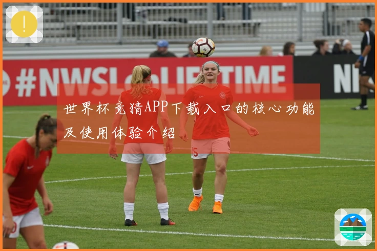 世界杯竞猜APP下载入口的核心功能及使用体验介绍