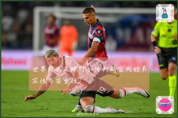 世界杯买足球时如何判断官网的真实性与安全性？