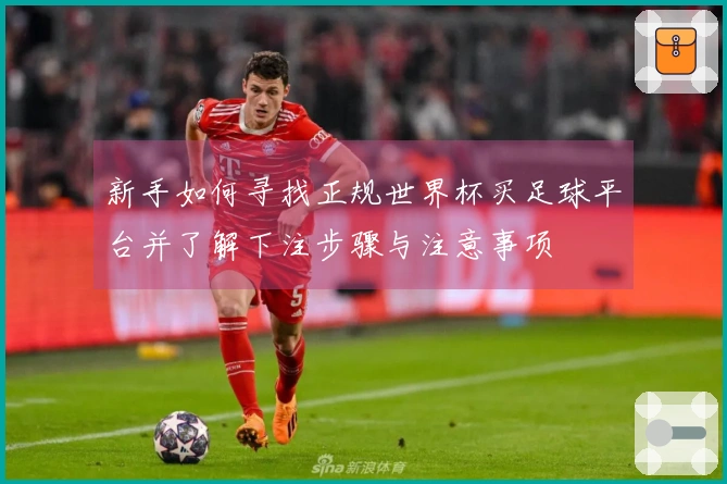 新手如何寻找正规世界杯买足球平台并了解下注步骤与注意事项