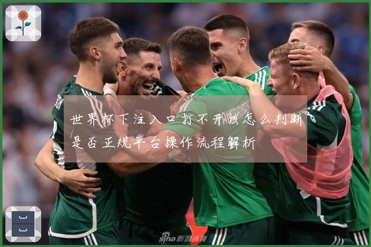 世界杯下注入口打不开该怎么判断是否正规平台操作流程解析