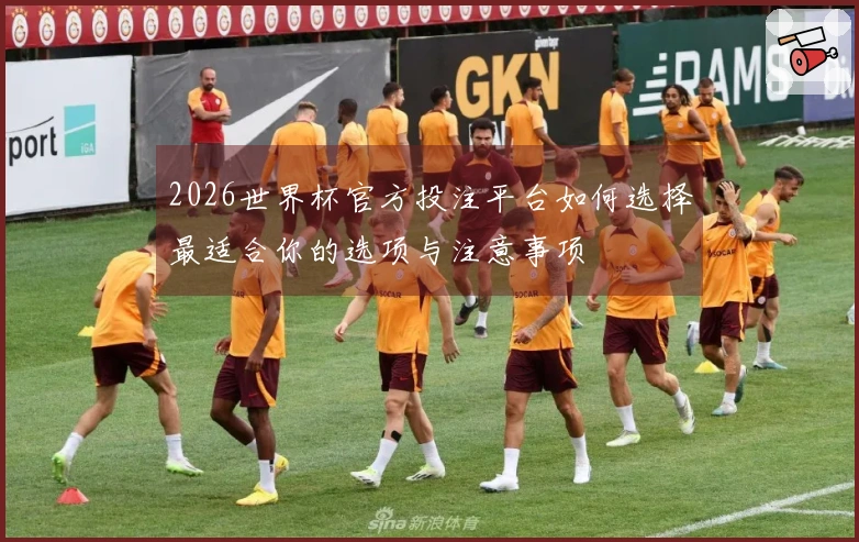 2026世界杯官方投注平台如何选择最适合你的选项与注意事项