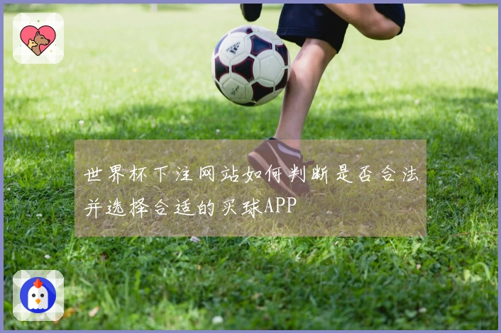 世界杯下注网站如何判断是否合法并选择合适的买球APP