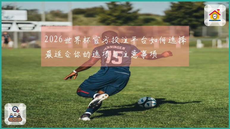 2026世界杯官方投注平台如何选择最适合你的选项与注意事项