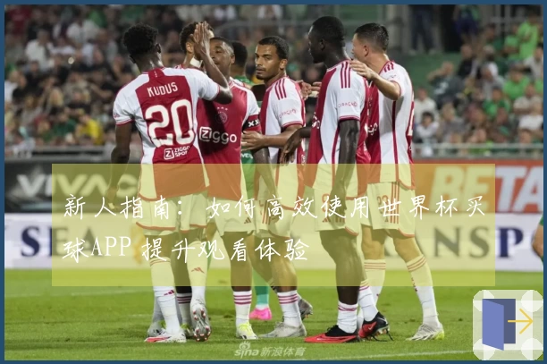 新人指南：如何高效使用世界杯买球APP 提升观看体验