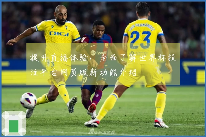 提升直播体验,全面了解世界杯投注平台网页版新功能介绍