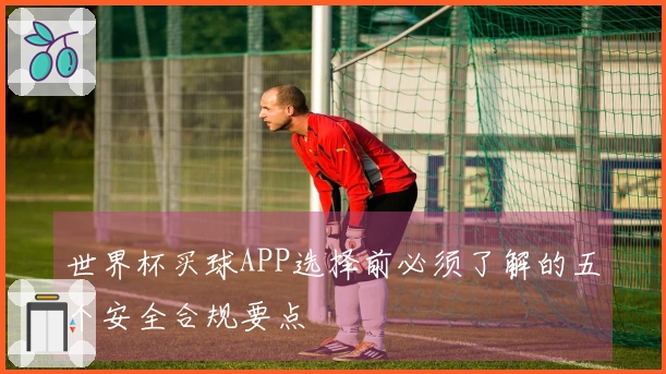 世界杯买球APP选择前必须了解的五个安全合规要点