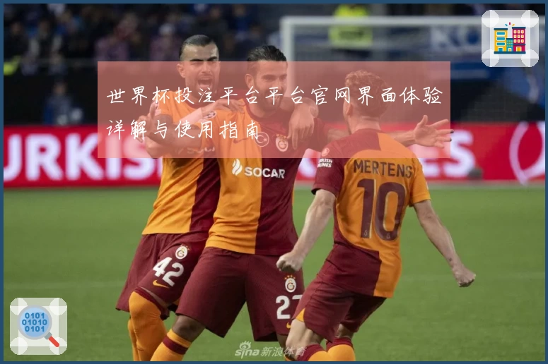世界杯投注平台平台官网界面体验详解与使用指南