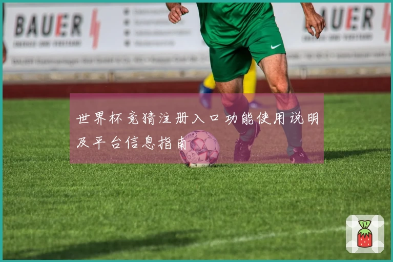 世界杯竞猜注册入口功能使用说明及平台信息指南