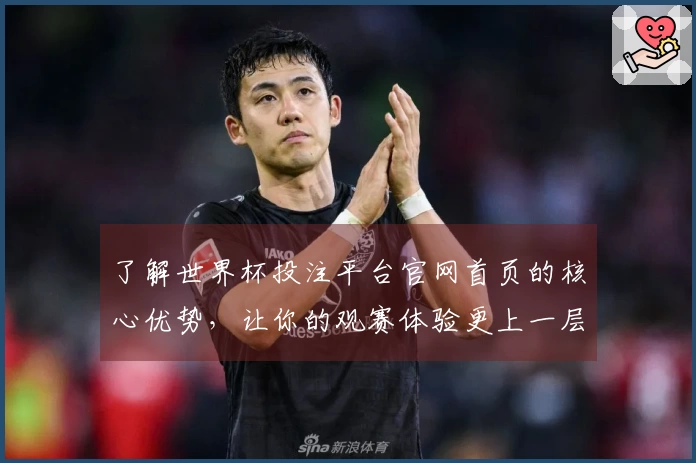 了解世界杯投注平台官网首页的核心优势，让你的观赛体验更上一层楼