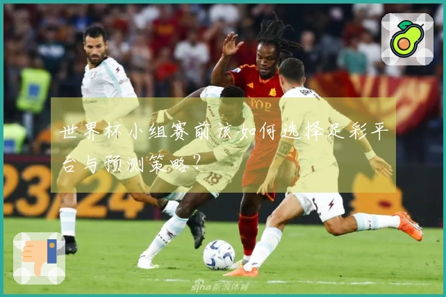 世界杯小组赛前该如何选择足彩平台与预测策略？