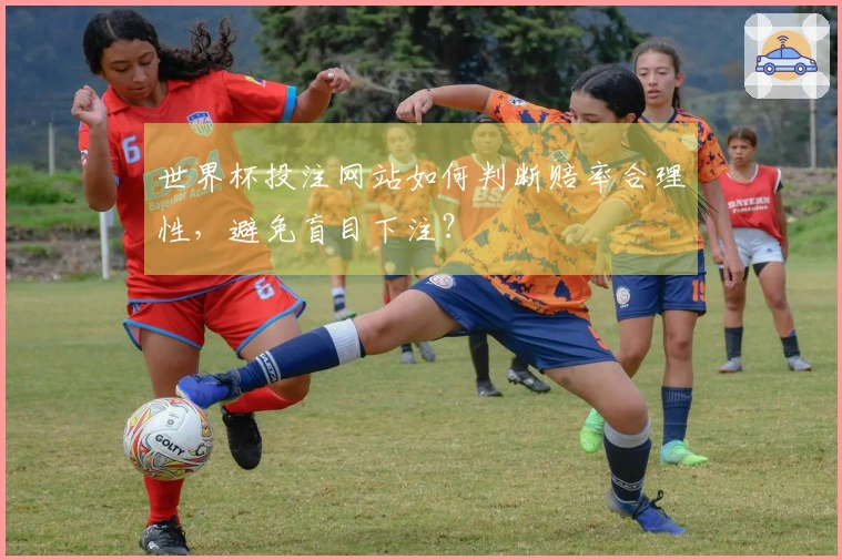 世界杯投注网站如何判断赔率合理性，避免盲目下注？